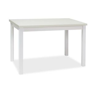 BONO jedálenský stôl 100x60 cm, biela matná