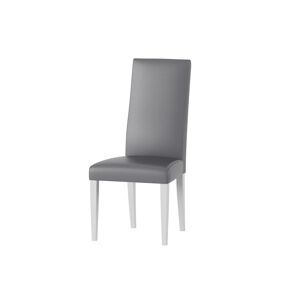 Jedálenská čalúnená stolička JULIA šedá-biela